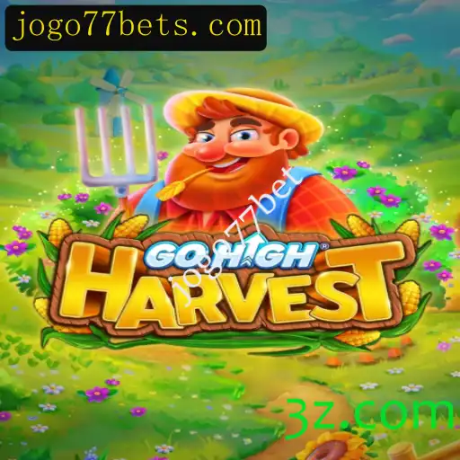 Explorando GoHighHarvest: A Nova Sensação no Mundo dos Jogos de Apostas